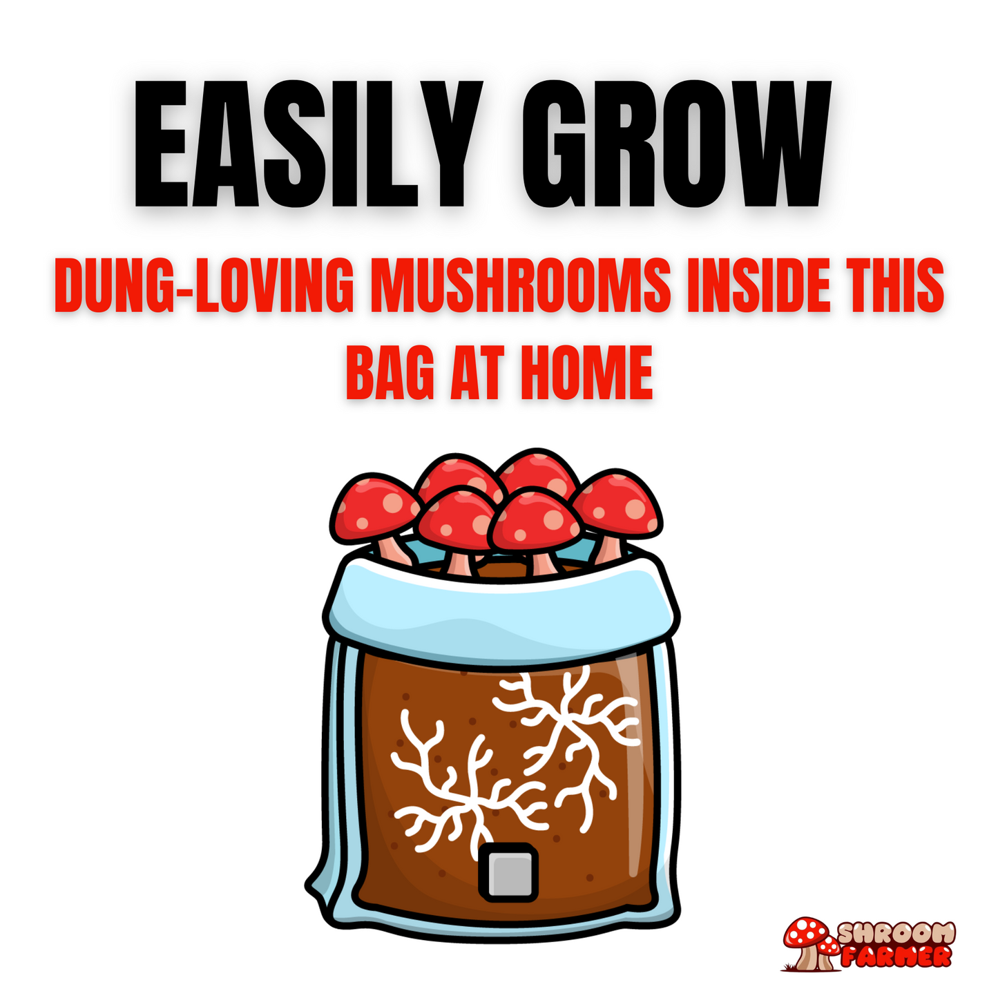 (3lb) All in one mushroom grow bag