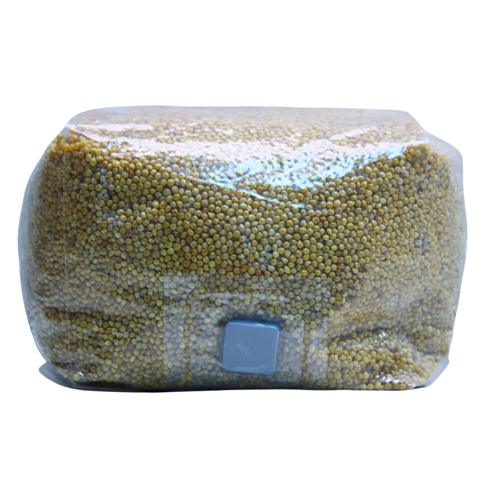 Millet spawn bag